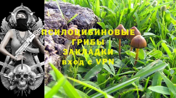 прущий лед Арсеньев