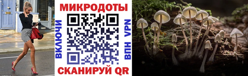 Псилоцибиновые грибы GOLDEN TEACHER  Кинель 